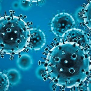 coronavirus-2.tmb-1366v coronavirus-2.tmb-1366v